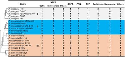 In silico and Genetic Analyses of Cyclic Lipopeptide Synthetic Gene Clusters in Pseudomonas sp. 11K1